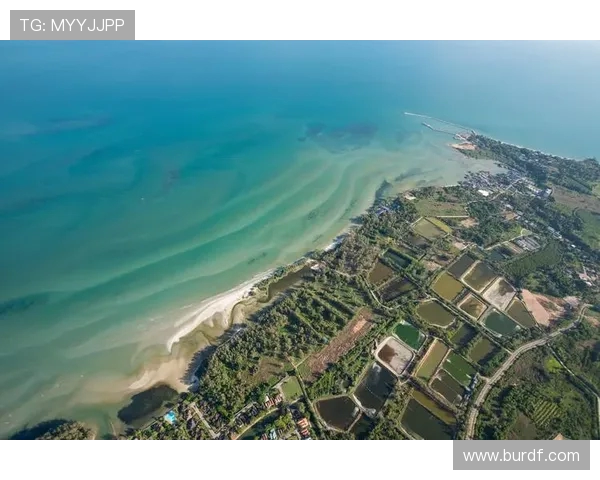 极限跳伞高空俯瞰地球壮丽景观